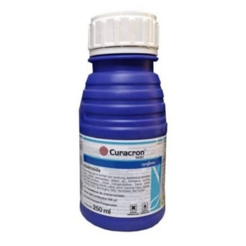Curacron