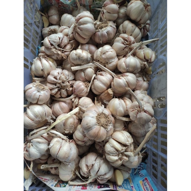 

BAWANG MERAH DAN PUTIH 1KG