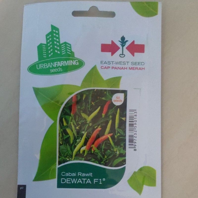 BENIH CABE DEWATA 43 F1