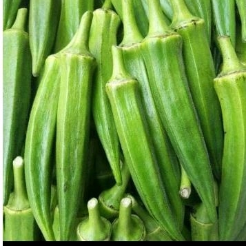 

SAYUR OKRA 250GRAM