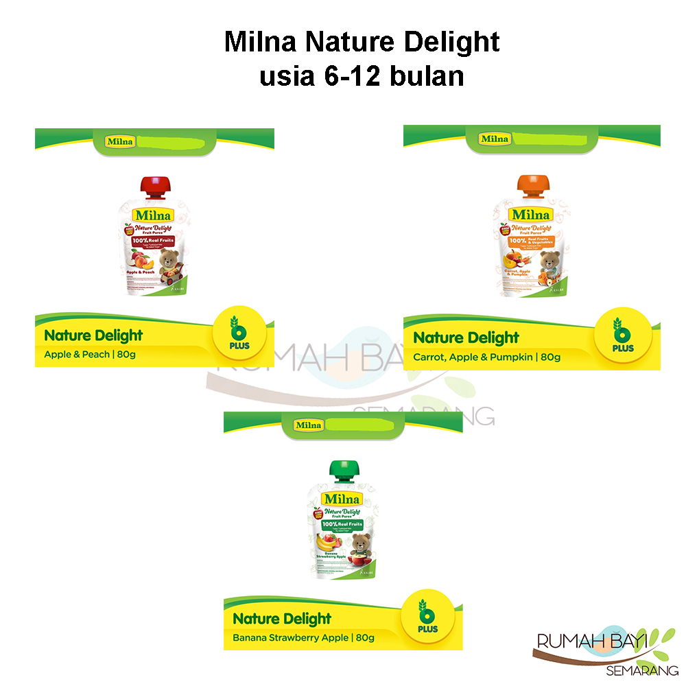 Milna Nature Delight Pure Buah MPASI 80gr - Snack Bayi