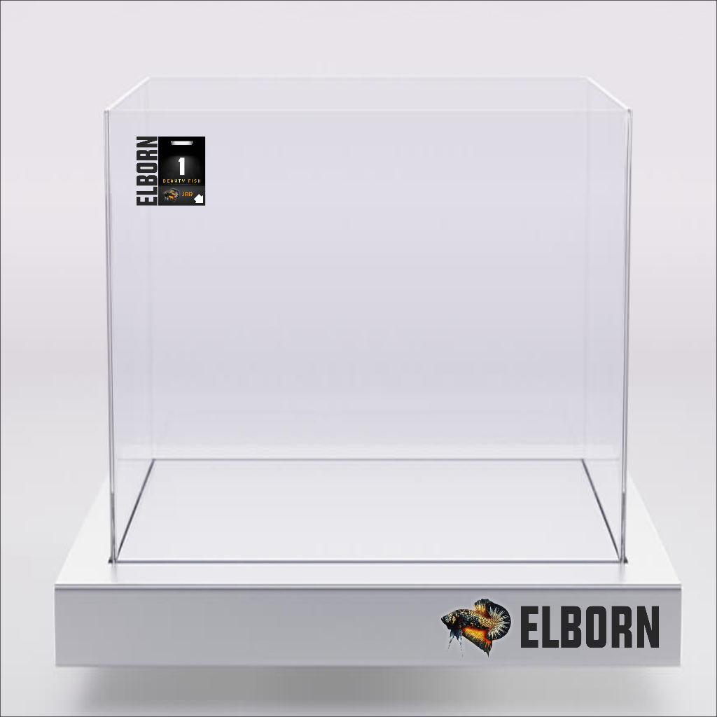 ELBORN SHOP 8