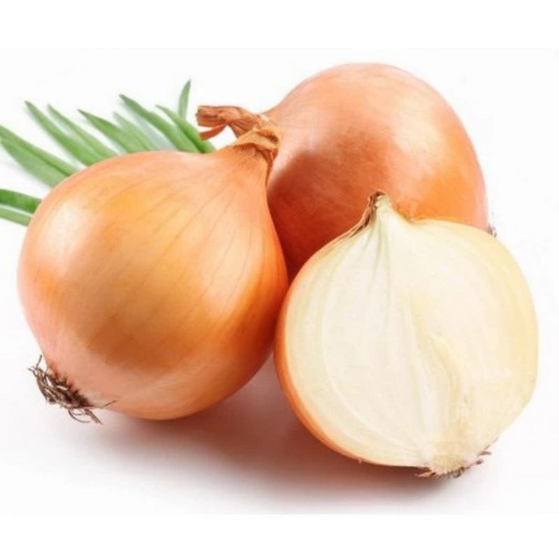 

bawang bombay besar 500 gram