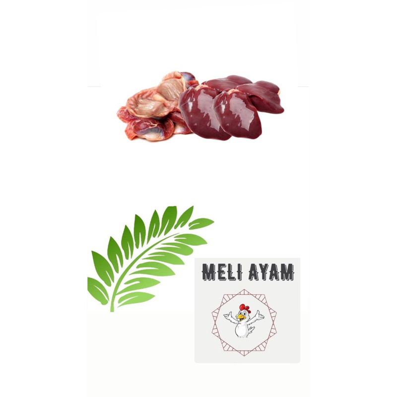 

Ati Ampela Ayam 10 pasang