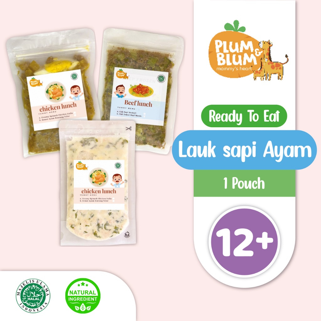 

Plum & Blum Menu Siap Santap Lauk Sapi Ayam Semur Telur 1 pouch