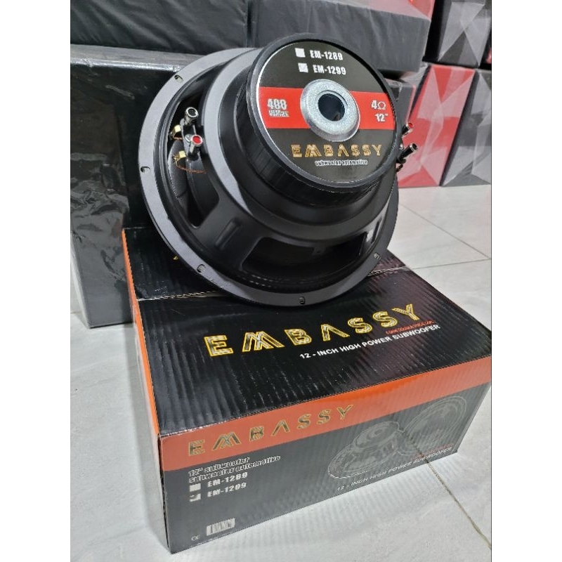 RK Subwoofer Embassy EM-1299 12" Double Coil