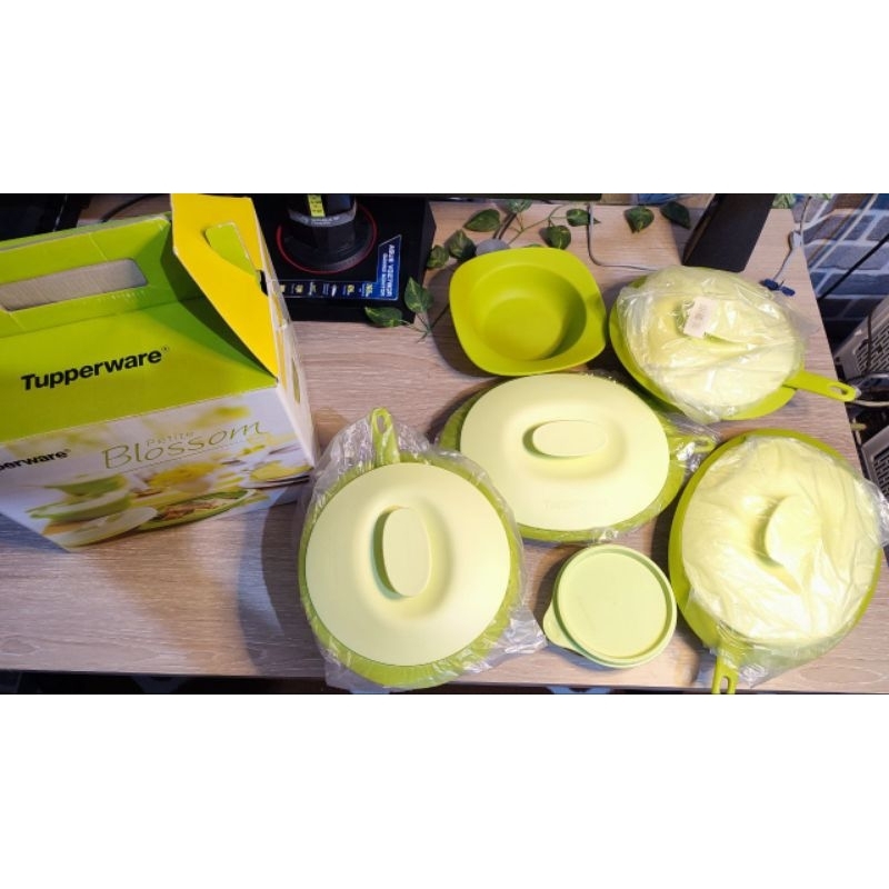 (PRELOVED) Tupperware Petite Blossom