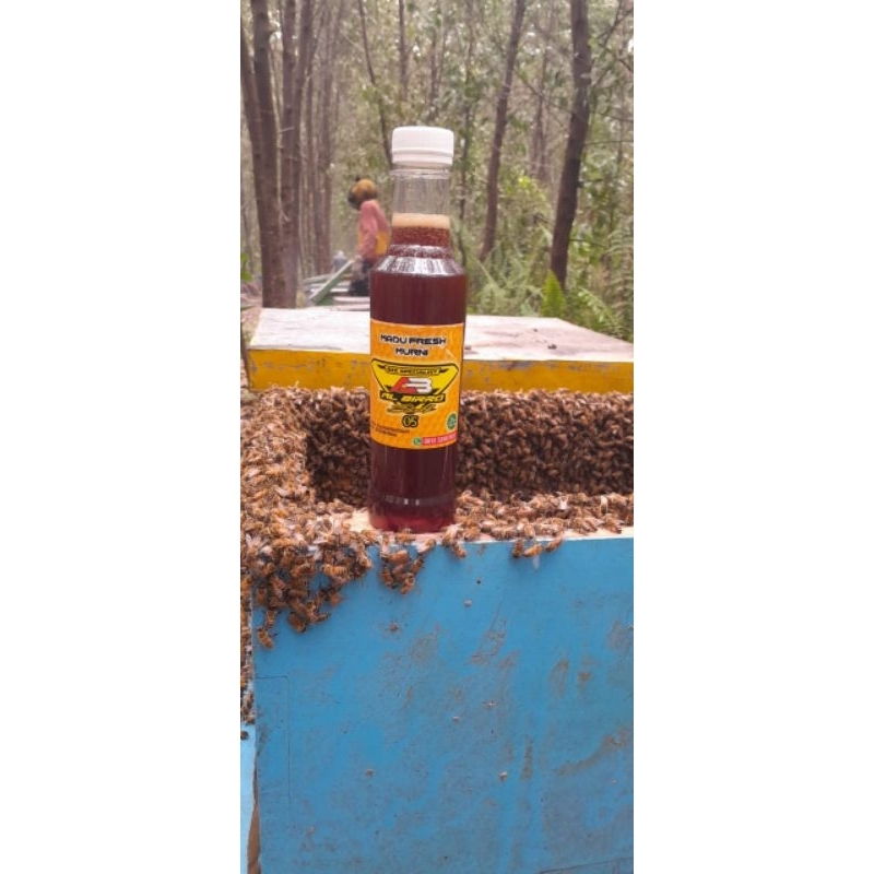 

MADU MERAH RIAU 500gram FULL NEXTAR ACASIA
