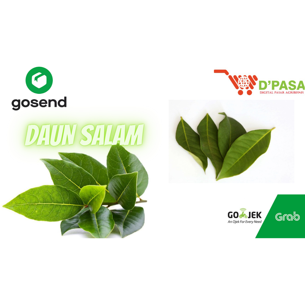 

KIRIM INSTAN Daun Salam 100gr