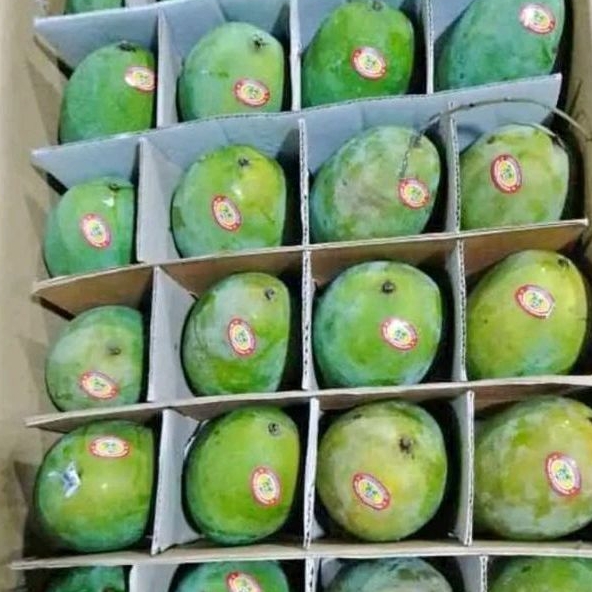 MANGGA HARUM MANIS PREMIUM SATU DUS