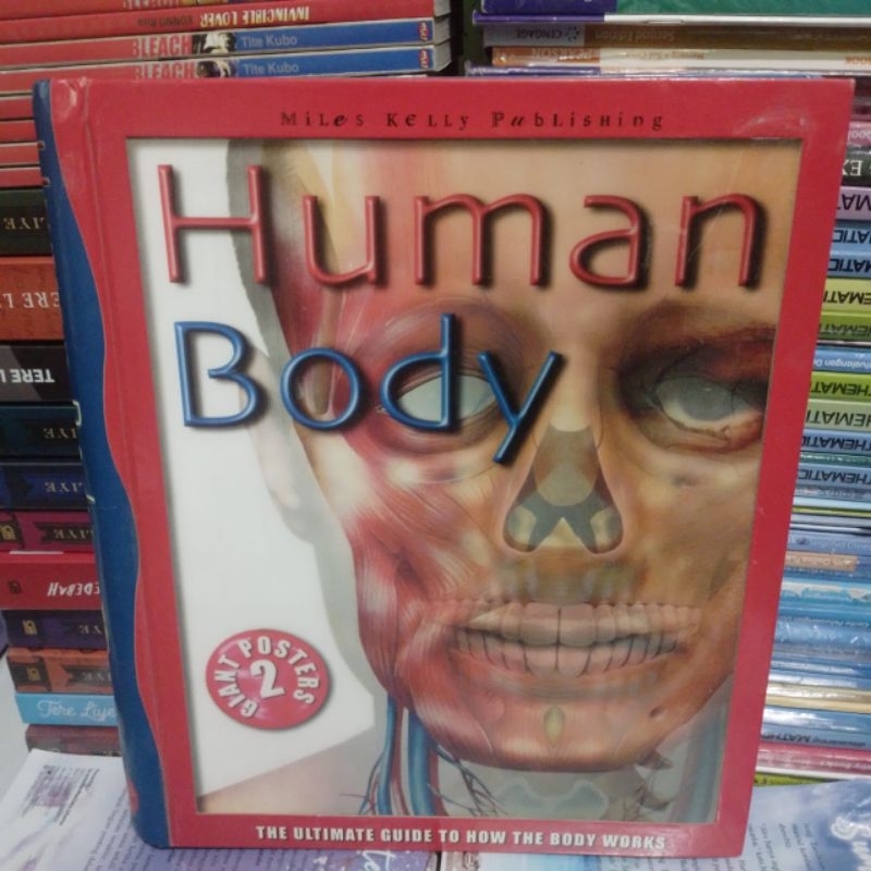HUMAN BODY