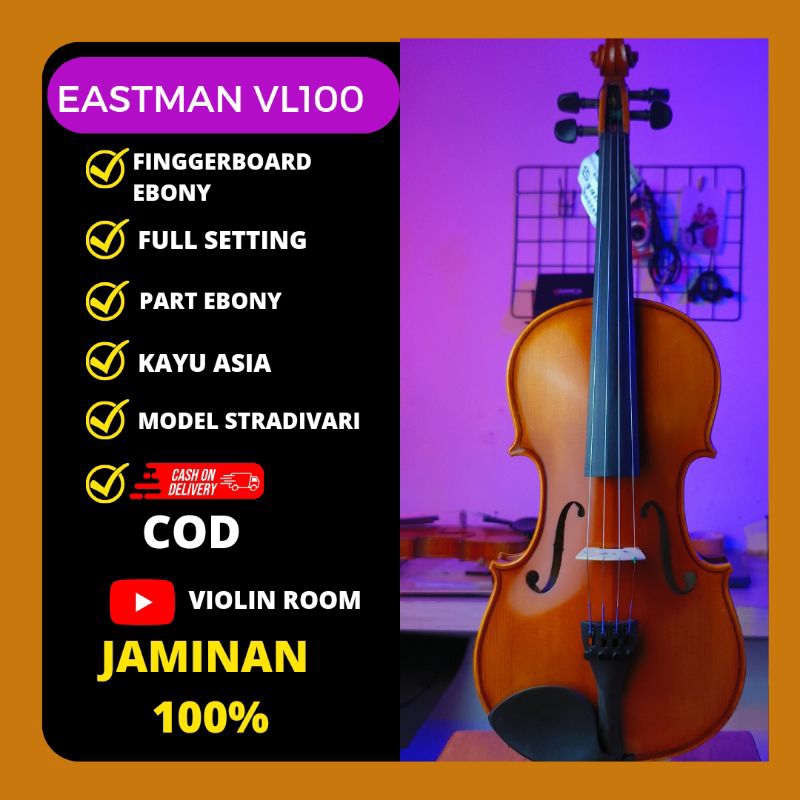 EASTMAN VL100 BIOLA AKUSTIK ADVANCE