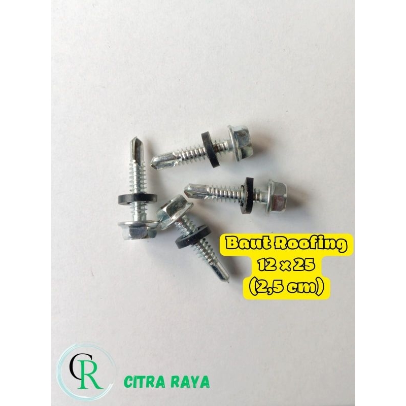Baut Roofing / Sekrup Roofing / Baut Baja Ringan / Baut Seng / Baut SDS 12 x 25 (2,5 cm)