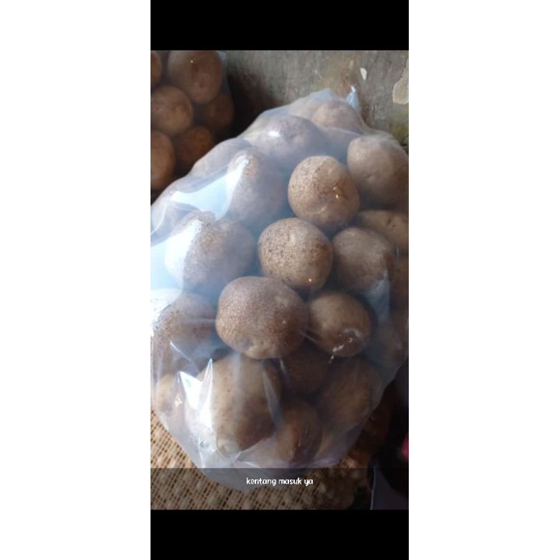 

KENTANG DIENG 1 KILO