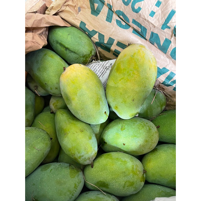 

mangga harumanis