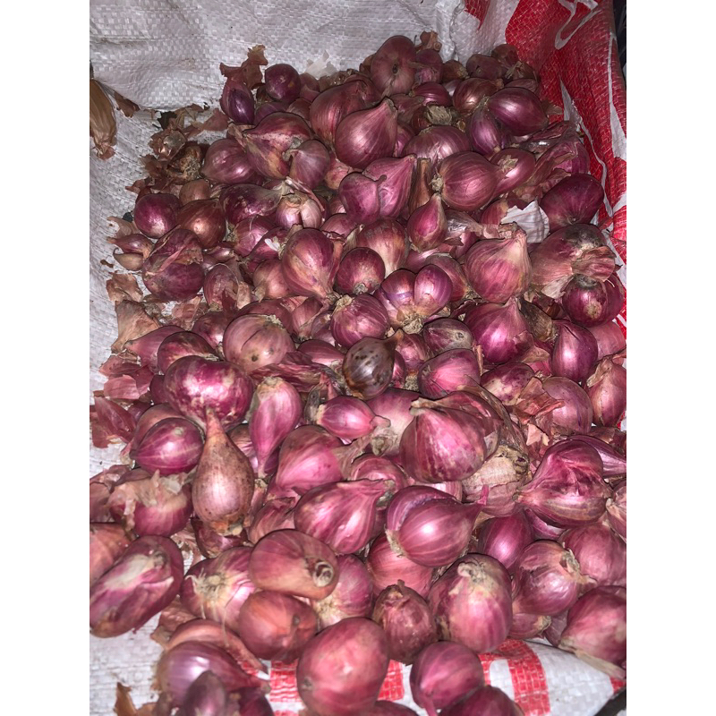 

BAWANG MERAH SUPER