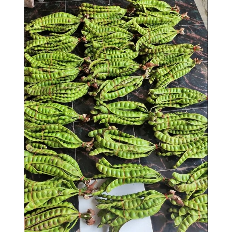 

pete segar harga per 10 biji