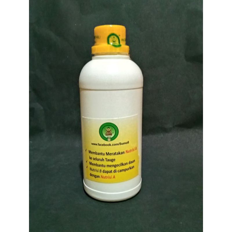 Nutrisi sumo B khusus tauge