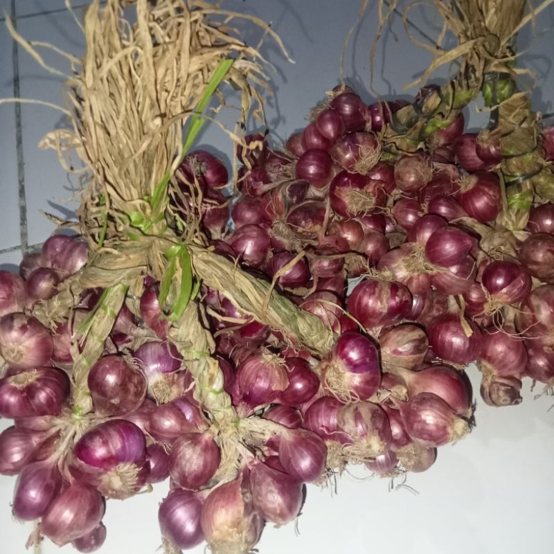 

Bawang merah