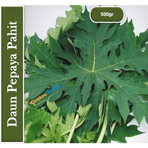 

Daun Pepaya - Pahit | 500gr [ Harga Per 0.5 Kg ]