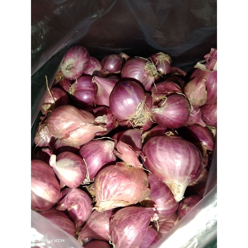 

bawang merah