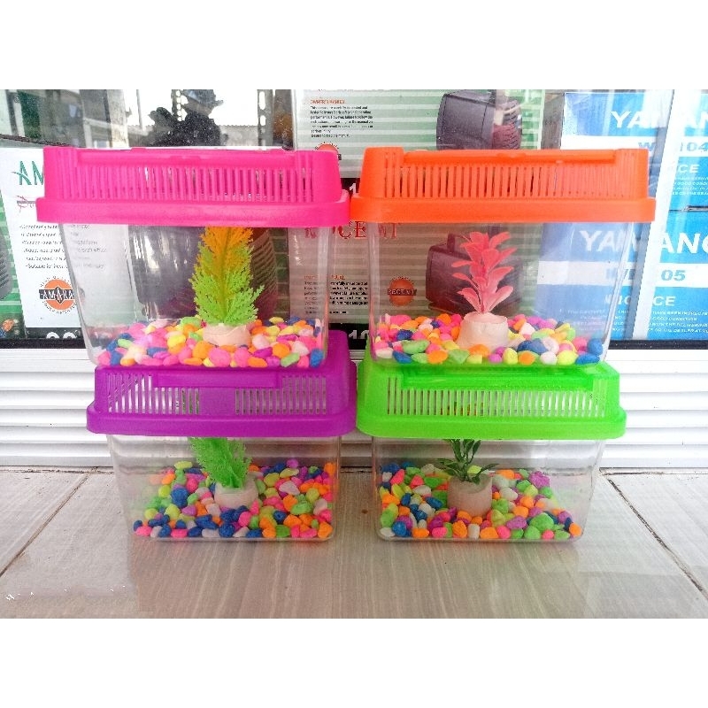 Pethome mini 12x7x8cm aquarium / terarium ikan hias Cupang wadah kura-kura dan hewan kecil lainnya