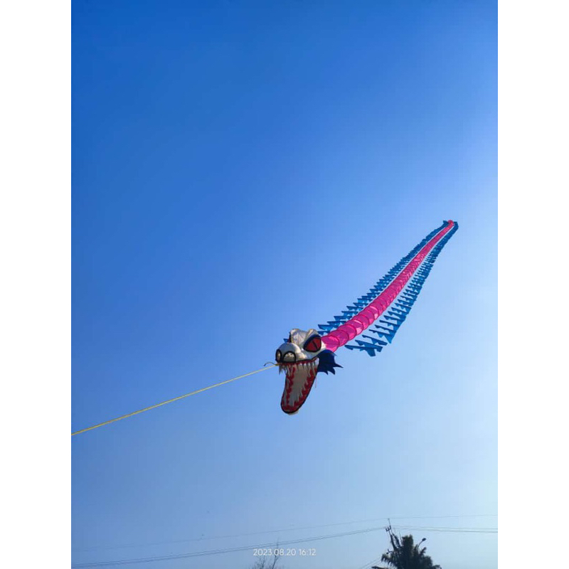 kepingan layangan naga tanpa kepala siap terbang (warna polos sesuai pilihan sudah di sampul dan di 