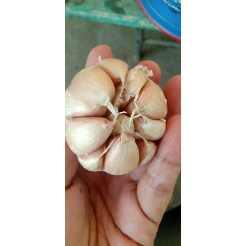 

bawangputih kemasan1kg