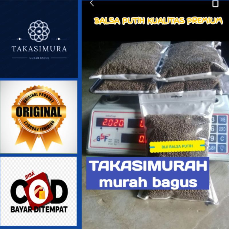 

biji balsa putih 10g
