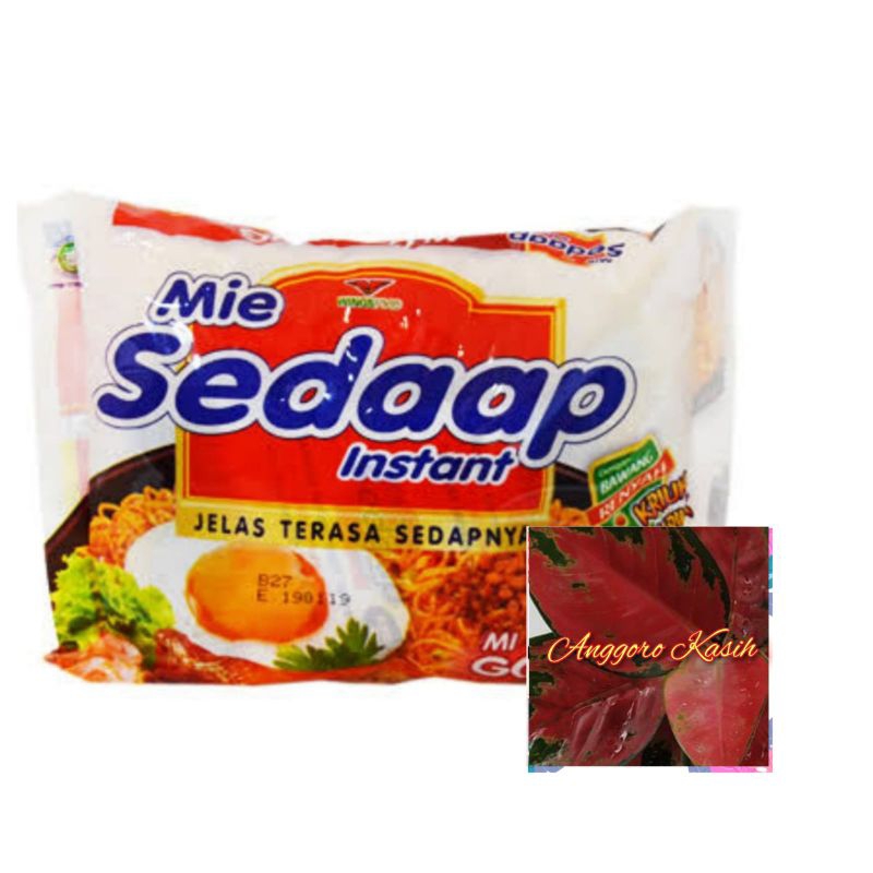 

mie sedap goreng isi 3 bungkus