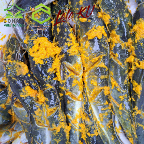 

Lele Kita Bumbu Kuning 450gr Sehat Halal dan Thoyyib