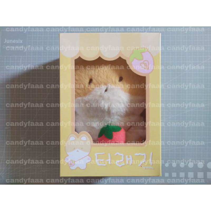 Baekhyun Teolaegi 20 cm