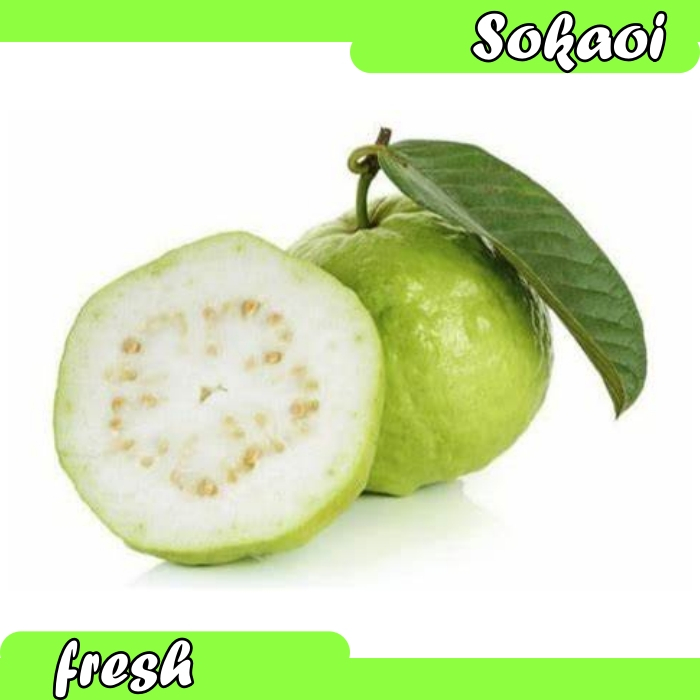 

BUAH JAMBU KRISTAL SEGAR