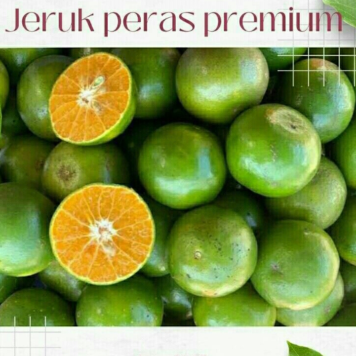 

JERUK PERAS SUPER 1 kg