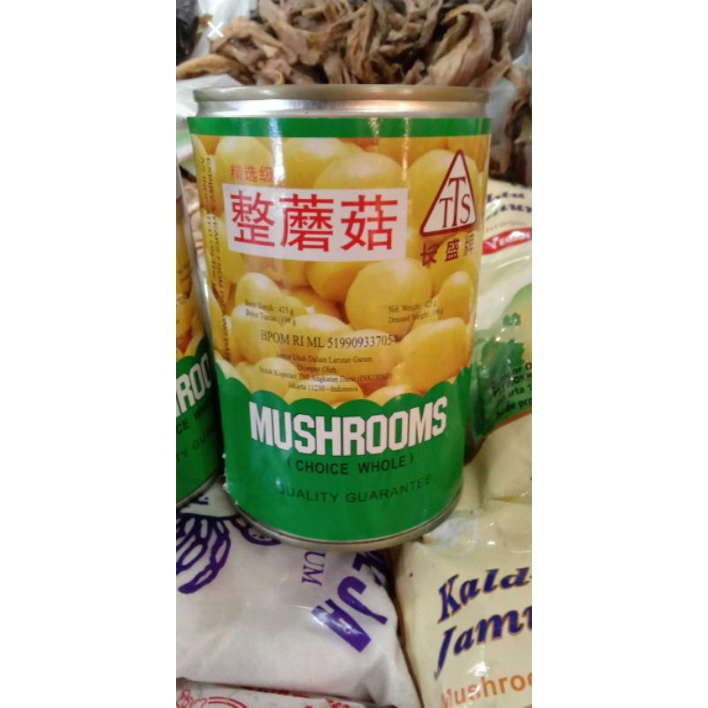 

mushroom TTS 425gr