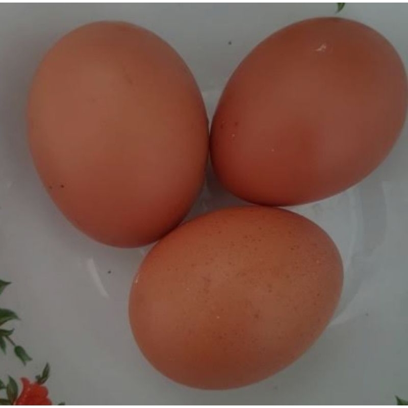

telor ayam negeri 1pack