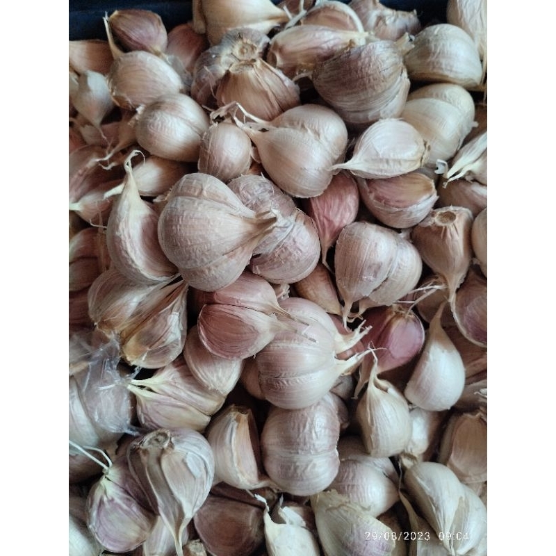 

Bawang Putih Cating dan Honan 1 kg