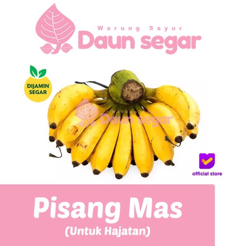 

Pisang Mas kirana lumajang sunpride 1 sisir Super