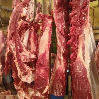 

Tulang Iga Sapi - 250Gr