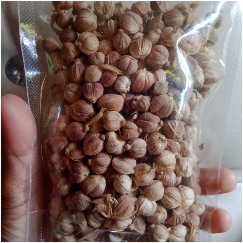 

kapulaga Asli 100% Grade A Premium Tanpa Bahan Pengawet
