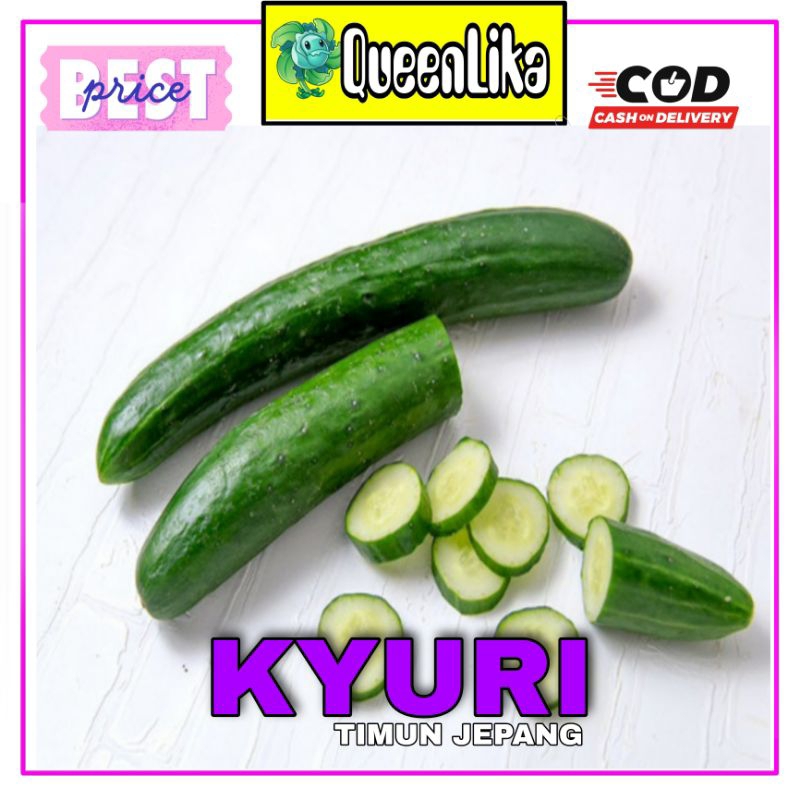 

timun jepang/ kyuri fresh 1kg