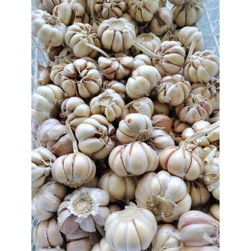 

BAWANG PUTIH BERSIHAN 1KG