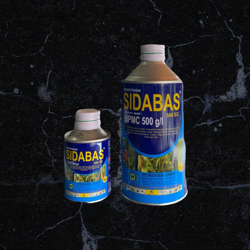 Sidabas 100ML