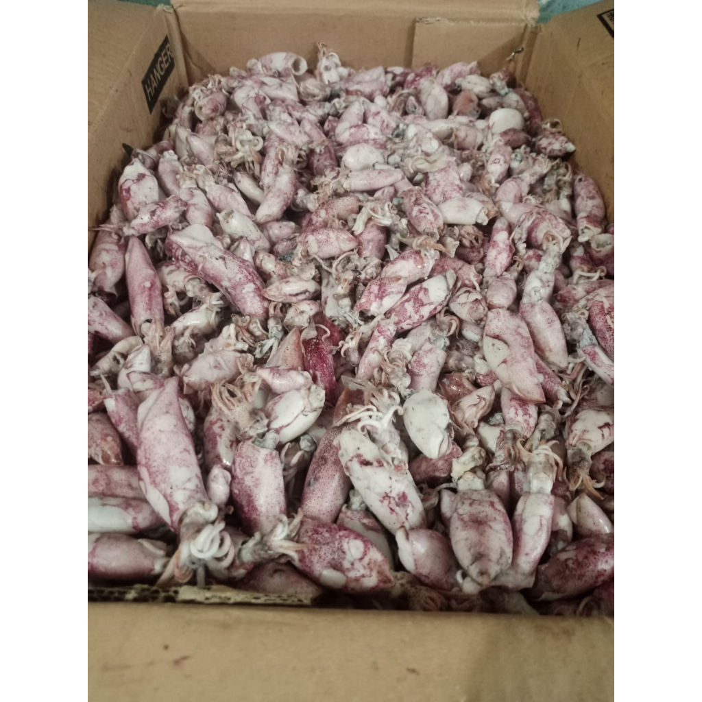 

CUMI ASIN SUPER FRESH