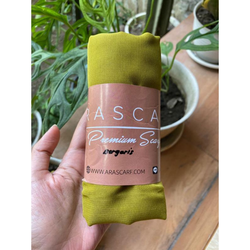 REJECT POTON, HAZEL by ARASCARF