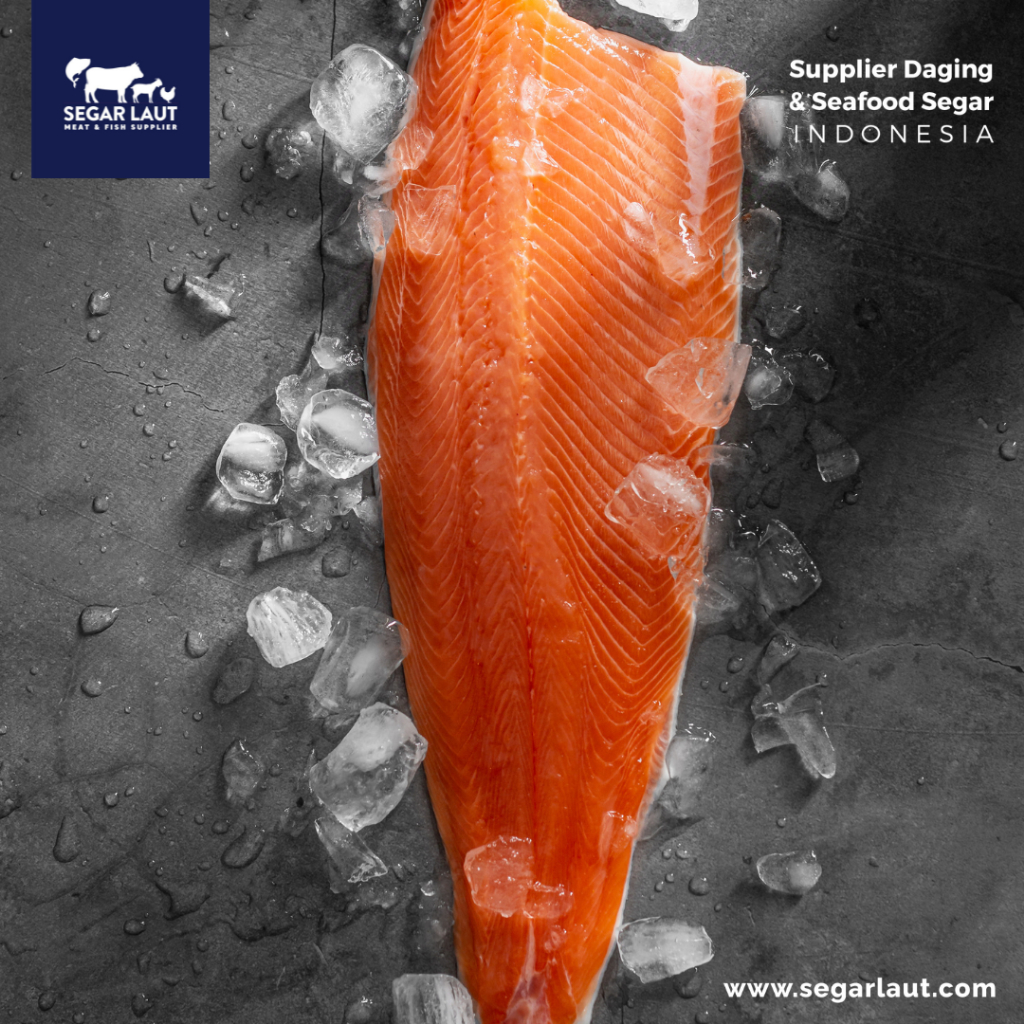 IKAN SALMON FILLET UTUH / LOIN | FRESH FROZEN & SEGAR