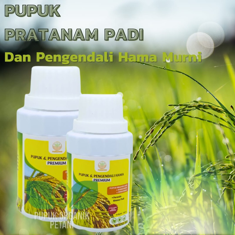 Pupuk organik pratanam cair padi pupuk padi pengendali hama murni pupuk penambah bobot padi atasi bu