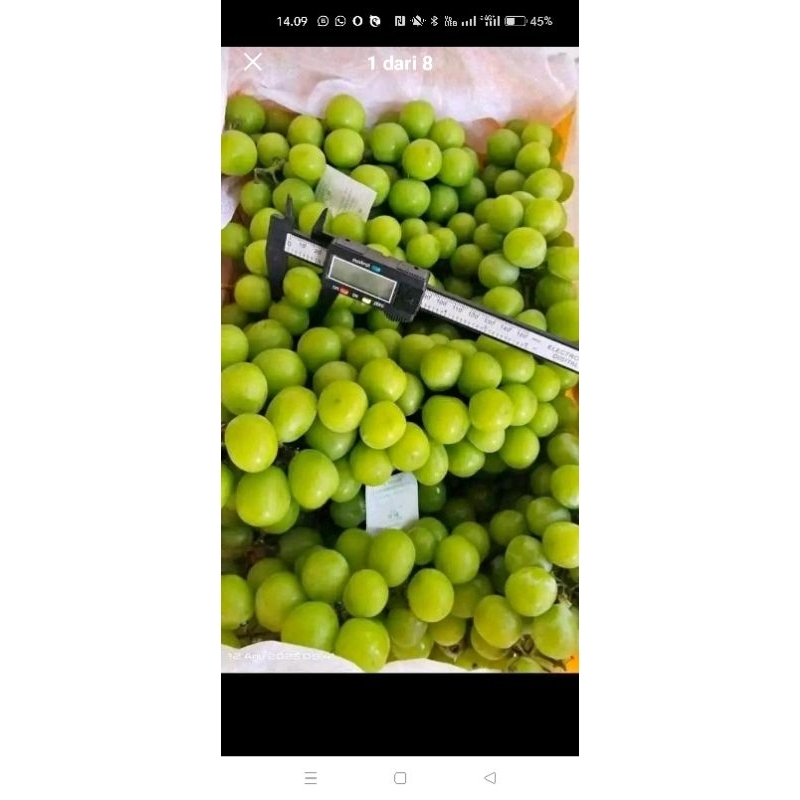 Shine Muscat Curah 500g