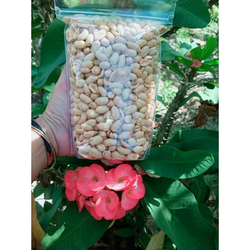 

KACANG BAWANG 250grm