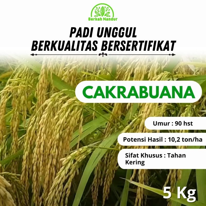 Benih Padi Cakrabuana Agritan 5 kg